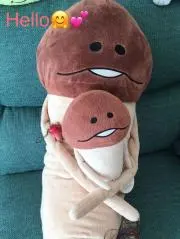 まめきちの画像