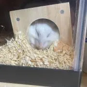 らむ。