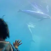 てーやんの画像