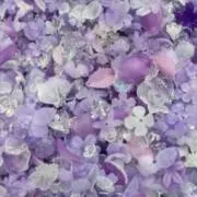 Hiromiの画像