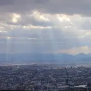 ブル