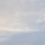 ぱるの画像