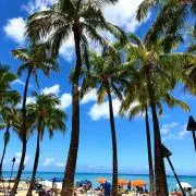 beach☆の画像