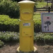 335