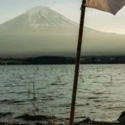 シャムスの画像