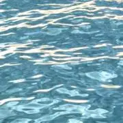 ネリの画像