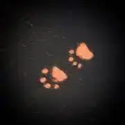 HYA【購入前一言下さいm(_ _)m】の画像
