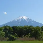 ちぃの画像