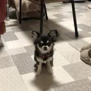 みうの画像