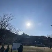 yanの画像
