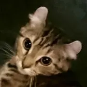 もなみ