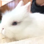 鈴木/断捨離中の画像