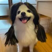 yukiiiiiiiiiiiiiiの画像