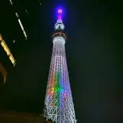 断捨離子の画像