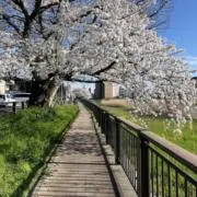 よしきち⭐︎の画像