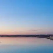 ライムの画像