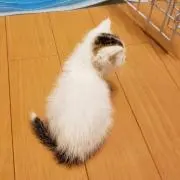 join0419の画像