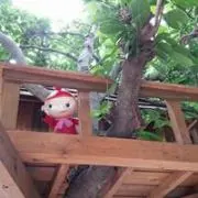 CHIZURUの画像