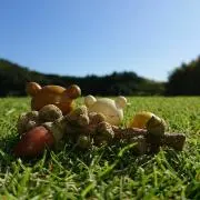 ６１０の画像
