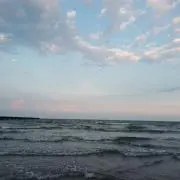 たゆんの画像
