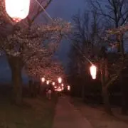 ゆうしんの画像