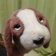 へむへむ