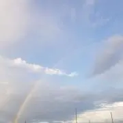 ぶりかまの画像