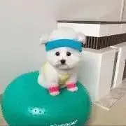 Yuuの画像