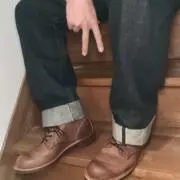 Tザウルス