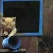まきこ