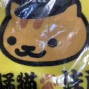 寅彪‎‎‎虎の画像