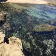 あーくの画像