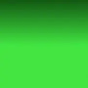 たんたんの画像
