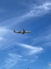 KZの画像