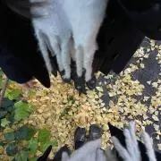 期限切れの画像