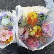 ゆゆの画像