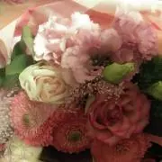 アン