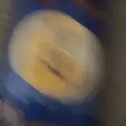 rの画像