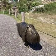 茶碗蒸し