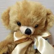 ダフニーの画像