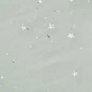 めの画像