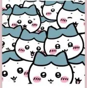 sakuの画像