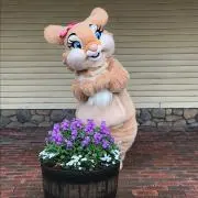 Sh❤️6/26閉店気になる物はお早めにの画像
