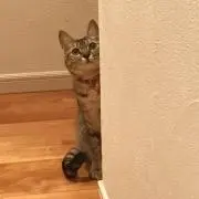 いちごみるく