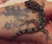 *なぉみん*