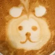 あもの画像