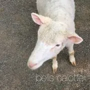 にんじん