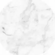 nzm12346