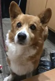 マーブル