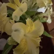 ヒロの画像